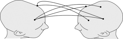 Framing a Trust Game as a Power Game Greatly affects Interbrain Synchronicity between Trustor and Trustee